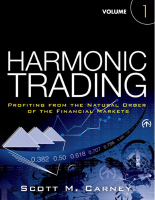 Harmonic Trading Volume 1.pdf